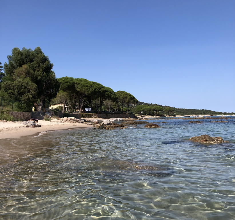 Casa I Zitelli — Piscine avec jardin